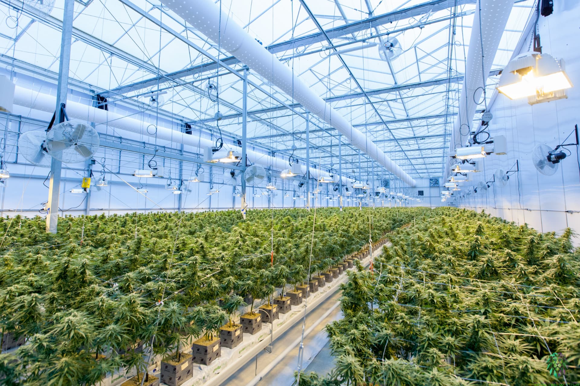 La startup spagnola riceve l'autorizzazione per l'avvio della produzione pilota
