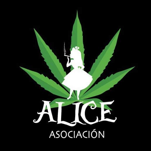 Logo del club di cannabis Alice Valencia