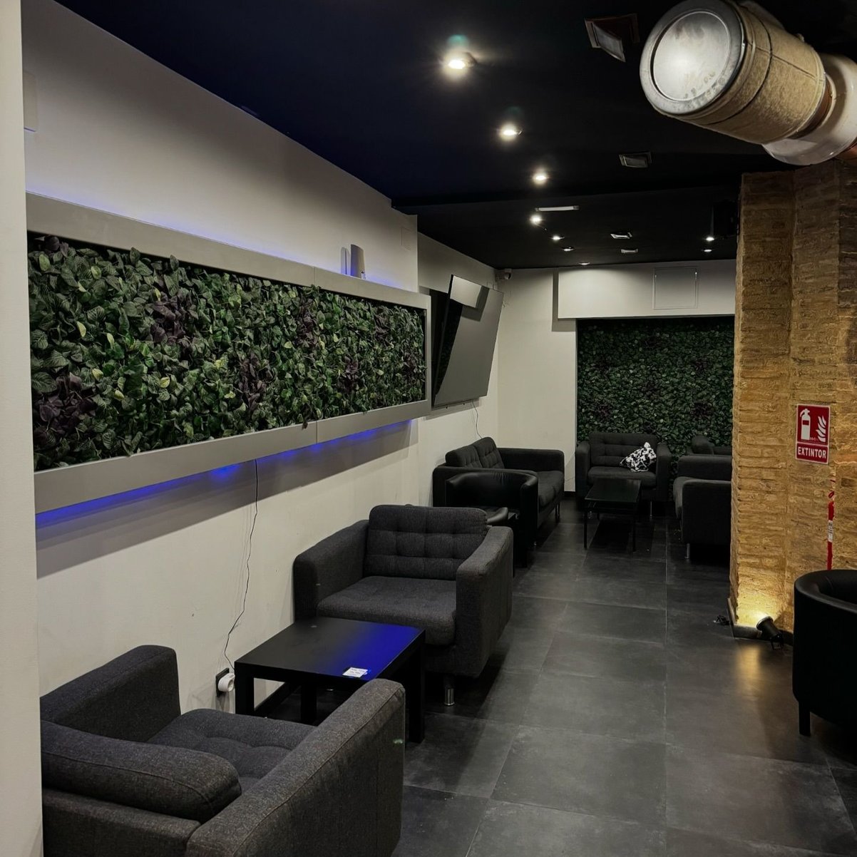 Area relax minimalista dell'associazione della cannabis TURIA62 a Valencia con decorazione vegetale