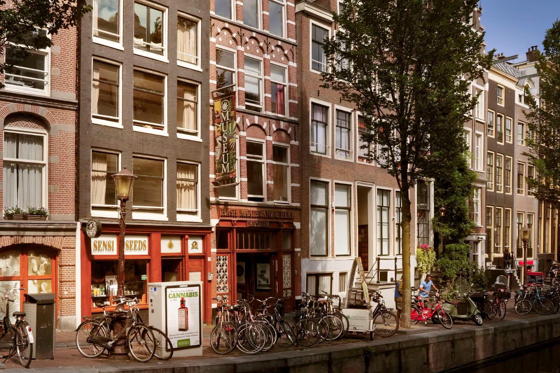 I migliori musei della cannabis in Europa