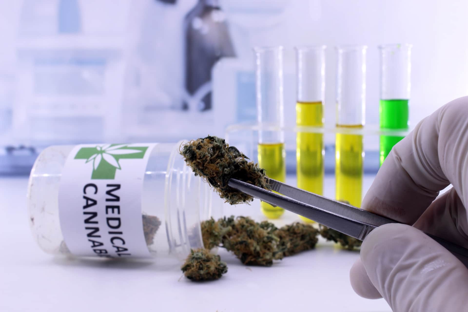 La Spagna regolamenta l’uso della cannabis medica